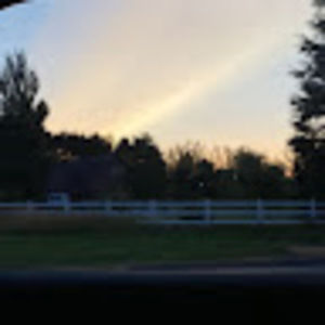 Meet your Posher, Al